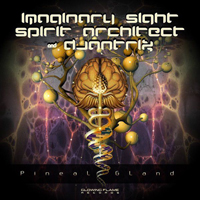 Spirit Architect - Pineal Gland (Single)