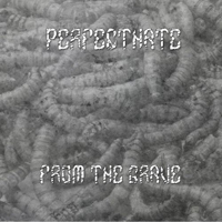 Perfecthate - From The Grave