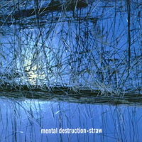 Mental Destruction - Straw
