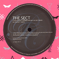 Sect - Burning Like Fire (Remix) / Voices (Feat.)