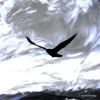 Drkmnd - On Wings