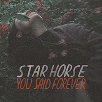 Star Horse - You Said Forever (Deluxe Version)