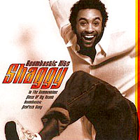 Shaggy - Boombastic Hits