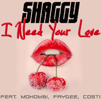 Shaggy - I Need Your Love (Single) 