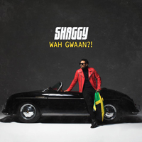Shaggy - Wah Gwaan?! (Feat.)