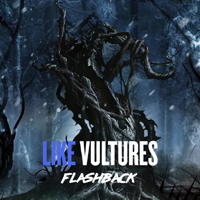 Like Vultures - Flashback (single)