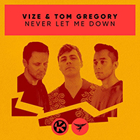 Vize - Never Let Me Down (feat. Tom Gregory) (Single)