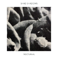 Shad Shadows - Nocturnal