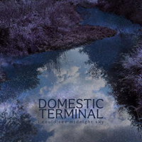 Domestic Terminal - I Could See Midnight Sky