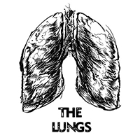 The Lungs (USA) - The Lungs (Single)