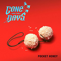 Gone Are the Days - Pocket Honey (EP)