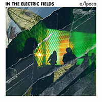 a/lpaca - In the Electric Fields (EP)