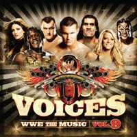 Soundtrack - Movies - Voices WWE The Music Vol. 9