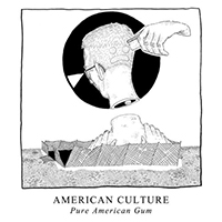 American Culture - Pure American Gum