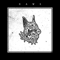 HAWK (USA, PA) - Counter Ops (Single)