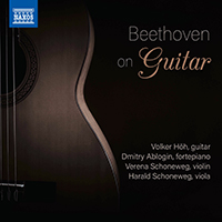 Hoh, Volker - Beethoven on Guitar