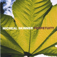Micheal Skinner - Perpetuity