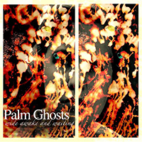 Palm Ghosts - Wide Awake And Waiting
