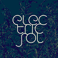 Electric Sol - Electric Sol