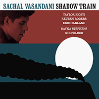 Vasandani, Sachal - Shadow Train