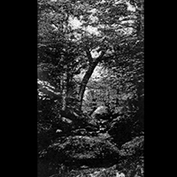 Funeral Altar - Black Mark Of The Lost Path (demo)
