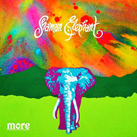 Shaman Elephant - More