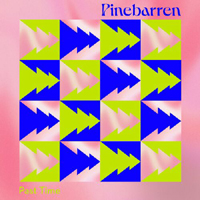 Pinebarren - Past Time