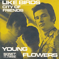 Young Flowers - Like Birds (EP)