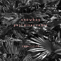 Emmecosta - Snowboy (Post Pines Remix)