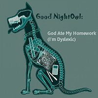 Good NightOwl - God Ate My Homework (I'm Dyslexic)