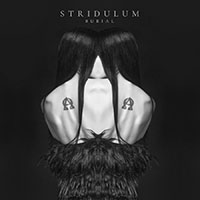 Stridulum - Burial