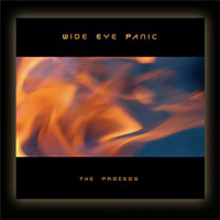 Wide Eye Panic - The Process