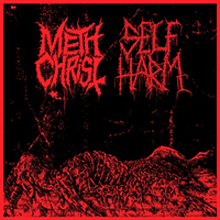 Methchrist - Methchrist / Self Harm (Split)