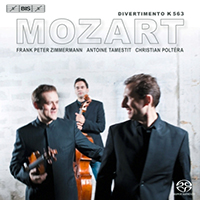 Trio Zimmermann - Mozart: Divertimento, K. 563 / Schubert: String Trio, D471