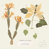Juliana Hatfield - Christmas Cactus // Red Poinsettia (Single)