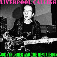 Joe Strummer - Liverpool 2002.11.22.