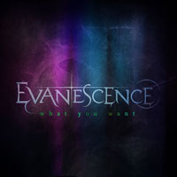 Evanescence - What You Want (Single)
