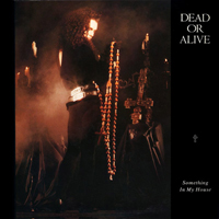 Dead or Alive - Something In My House
