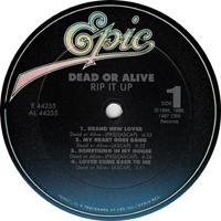 Dead or Alive - Rip It Up (LP)