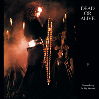 Dead or Alive - Something In My House [12'' Single]