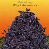 Buckethead - Needle In A Slunk Stack
