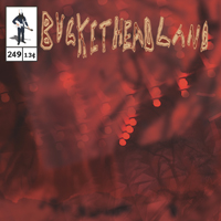 Buckethead - Pike 249: The Moss Lands