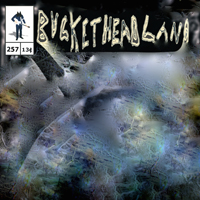 Buckethead - Pike 257: Blank Slate