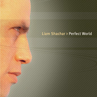 Liam Shachar - Perfect World