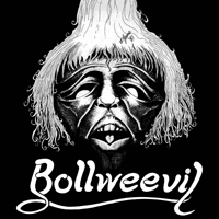 Bollweevil - Rock Solid 7