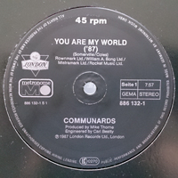 Communards - You Are My World [12'' Single]