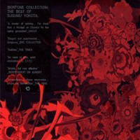 Susumu Yokota - Skintone Collection