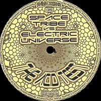 Space Tribe - The Acid Test (12'' Single)