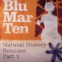 Blu Mar Ten - Natural History Remixes: Part 2