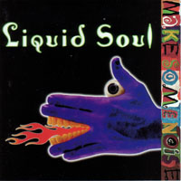 Liquid Soul (USA) - Make Some Noise